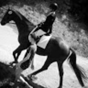 Meet your Posher, Annie